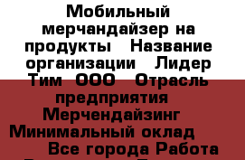 Мобильный мерчандайзер на продукты › Название организации ­ Лидер Тим, ООО › Отрасль предприятия ­ Мерчендайзинг › Минимальный оклад ­ 25 000 - Все города Работа » Вакансии   . Тверская обл.,Нелидово г.